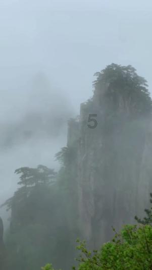 逗小猴开心系列194