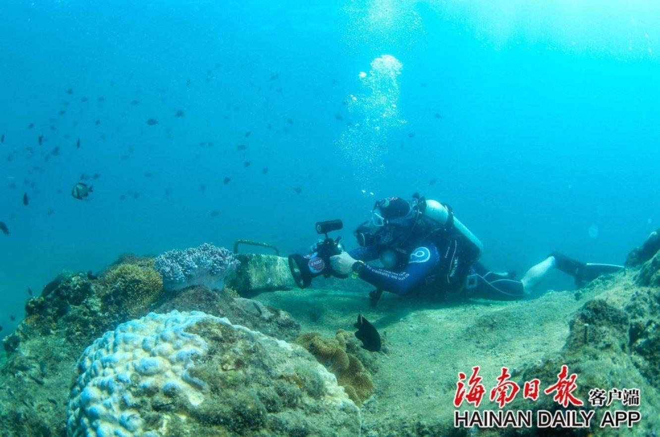 如果你在5年前在这只股票上投资了1000美元,那么今天你将有5,000美元